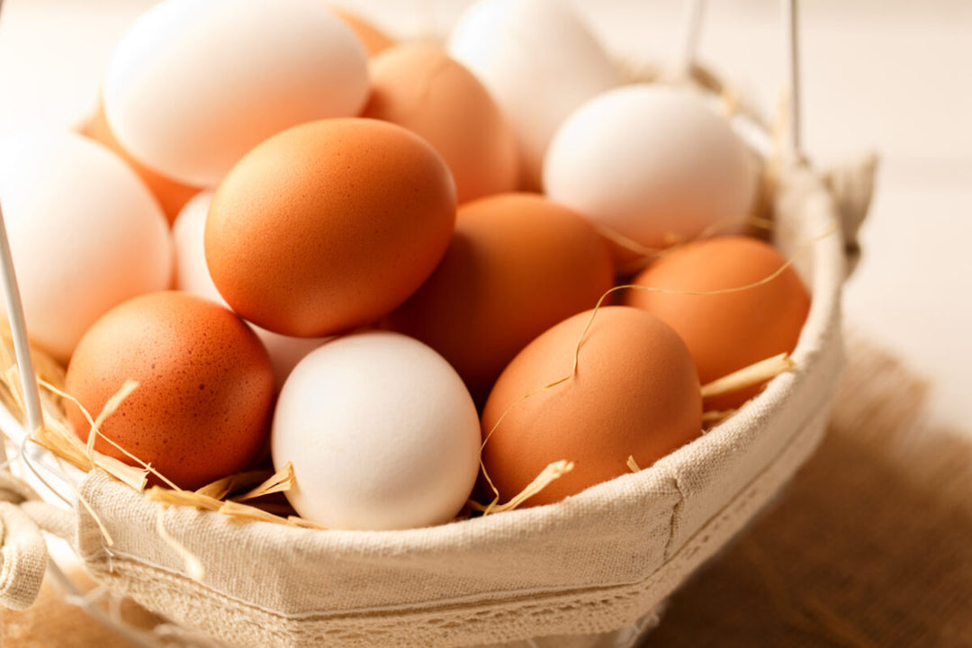 Are Egg Whites Or Whole Eggs Best For Recovery?