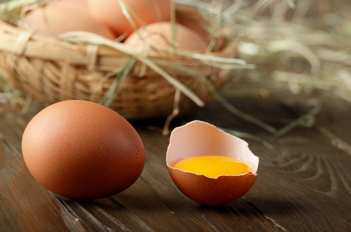 Why Egg Yolks Are The Perfect Protein Source