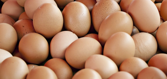 Five Reasons Eggs Are Good For You & Five Egg Dangers Explained