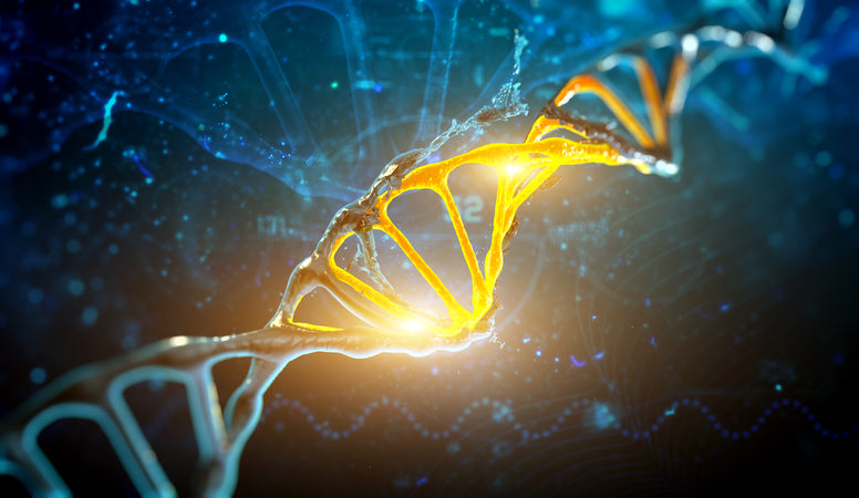 Genes Aren’t Destiny: How To Eat For Your Genotype