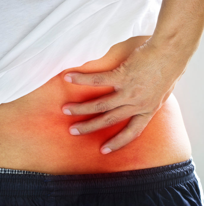 Get Rid of Low Back Pain: Total Body Strength Training Shown to be the Most Effective