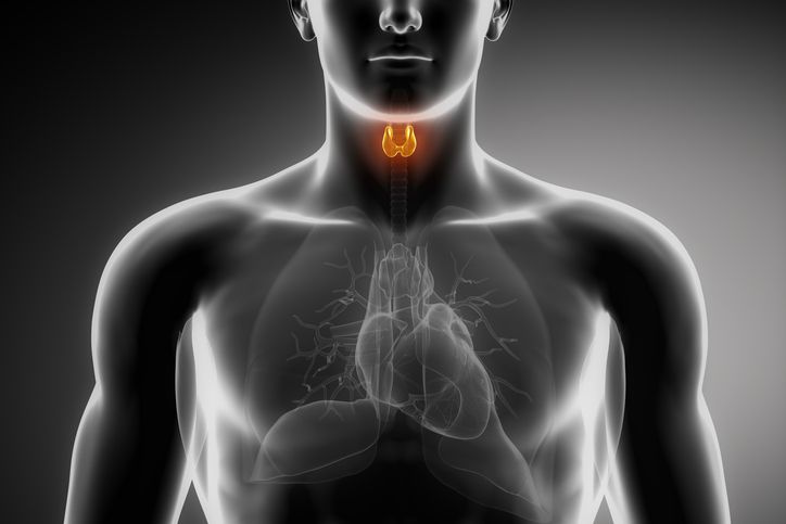 Five Solutions To Low Thyroid Function