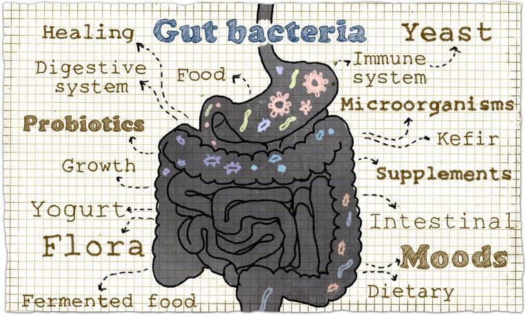 Ten Simple Steps To A Healthy Gut