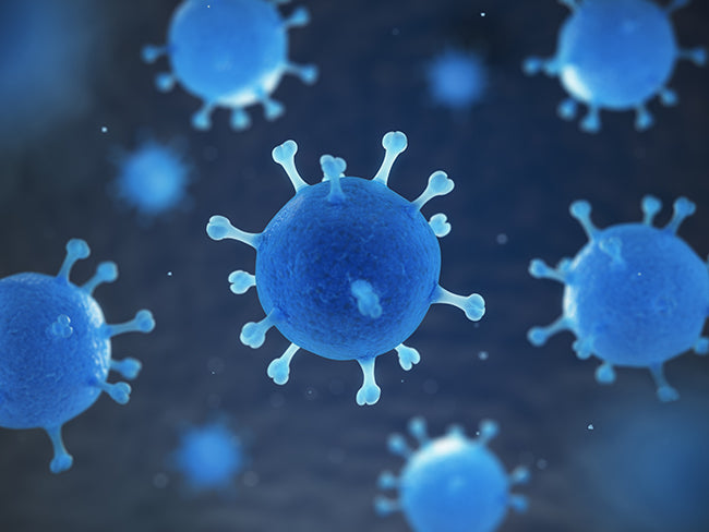 Three Effective Immune Support Supplements For The Coronavirus Era