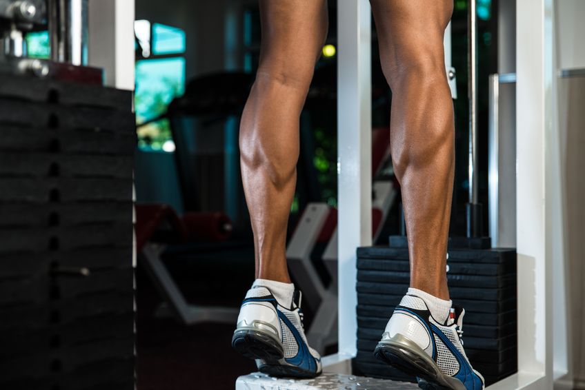 What We Know About Calf Training