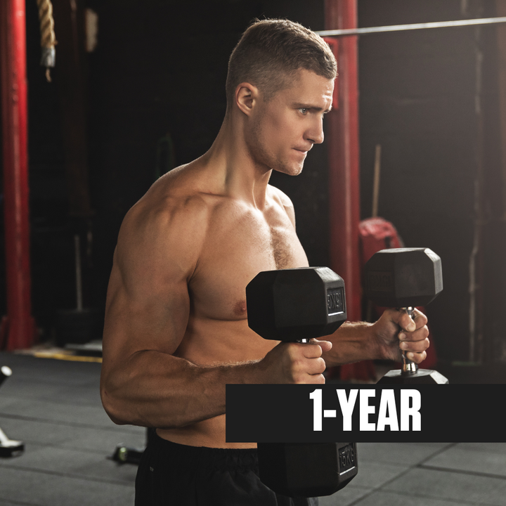 Muscle Building Online Training:  1 year
